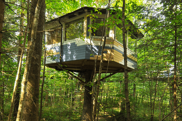 cabane dans les arbres, forêt ensolleillée